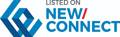 New Connect logo